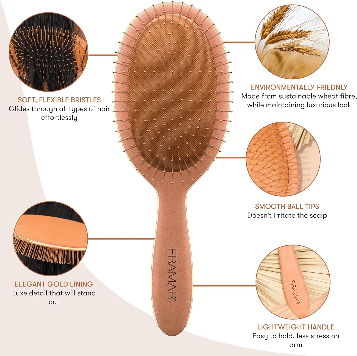 Wet Hair Brush Detangler – Curly Hair Brush Women, Hairbrushes for Women, Detangling Hair Brush Set, Detangle Hair Brush, Hairbrush, Detangling Brush, Detangler Hair Brush - Mojave